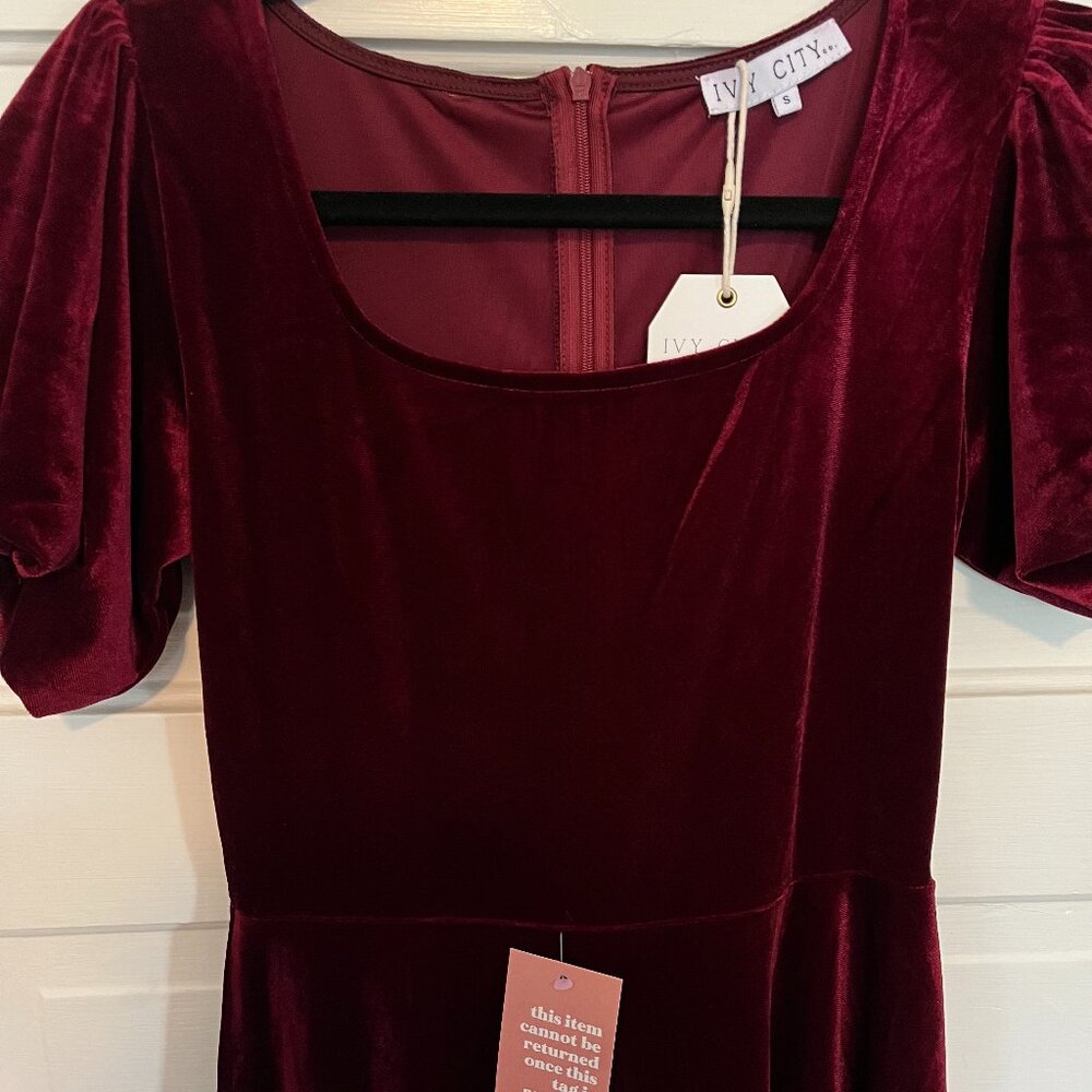 Gorgeous Size S Ivy City Co Cleo Velvet Dress in Wine